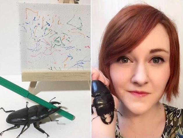 你养的宠物只会花钱,人家日本美女养的宠物会画画,还能挣钱