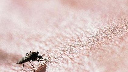 手臂上长了小红点不痛不痒像痣,出现小红痣不痛不痒