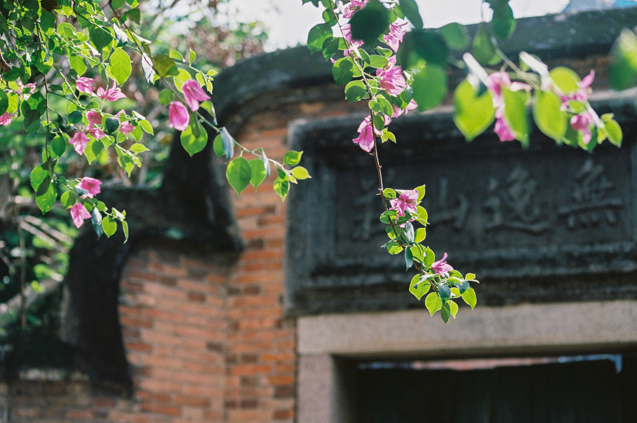 烟台山的旅行见闻,烟台山旅行