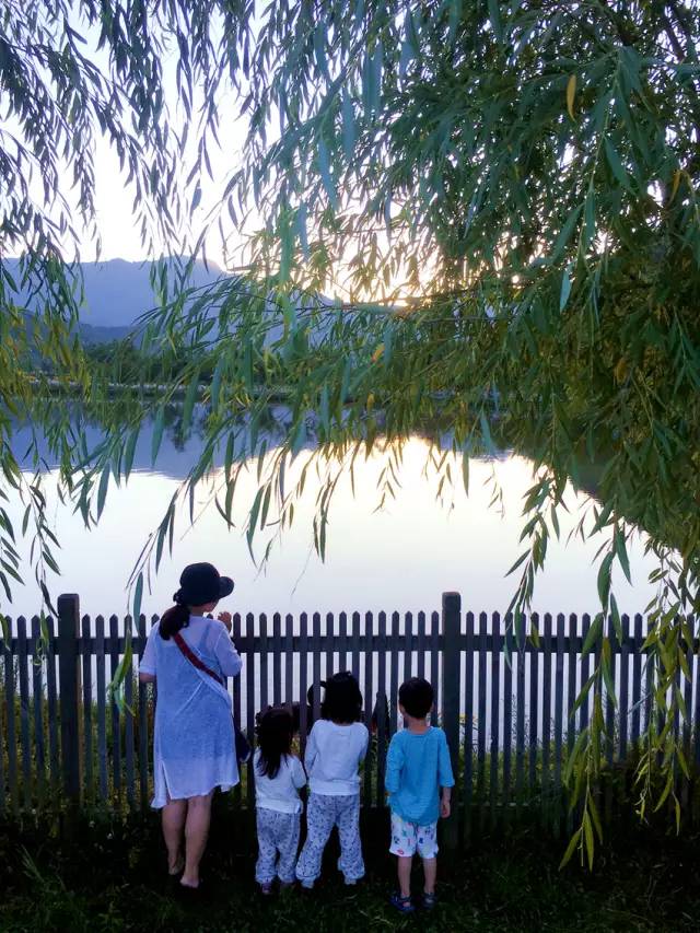 北纬30°神秘之境，在高山草甸、追逐鹿群，这里美的像天堂！