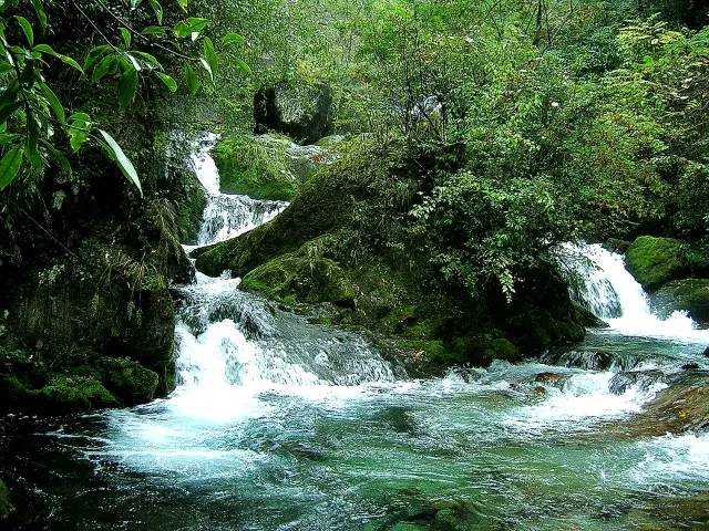 北纬30°神秘之境，在高山草甸、追逐鹿群，这里美的像天堂！