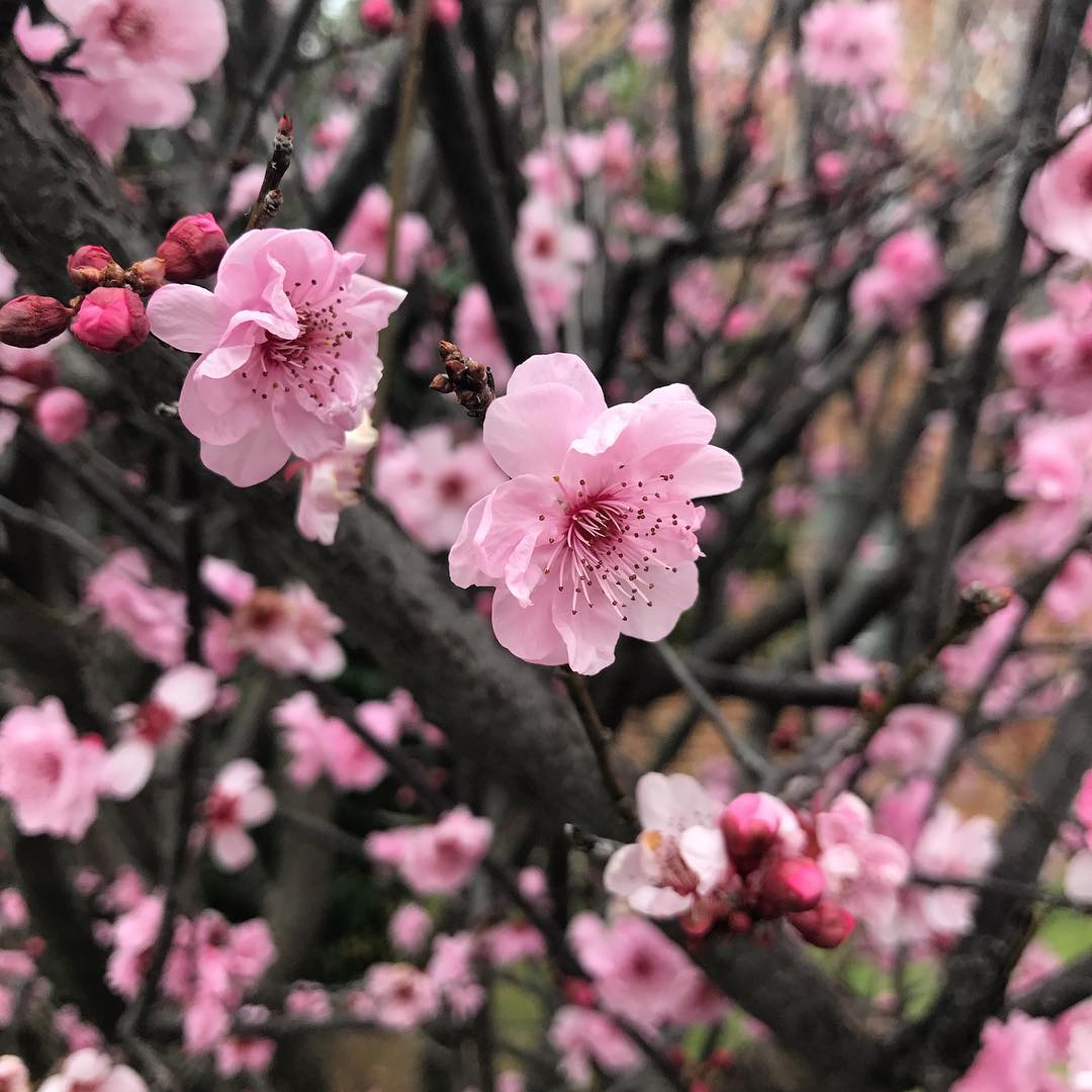 只等你爱我,等你爱你