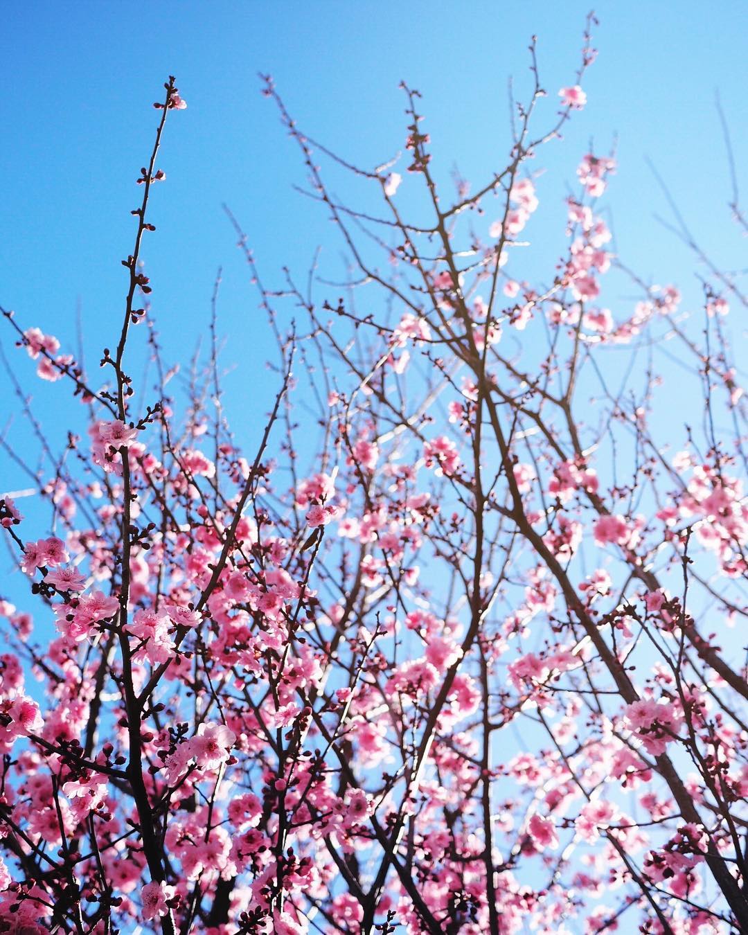 只等你爱我,等你爱你