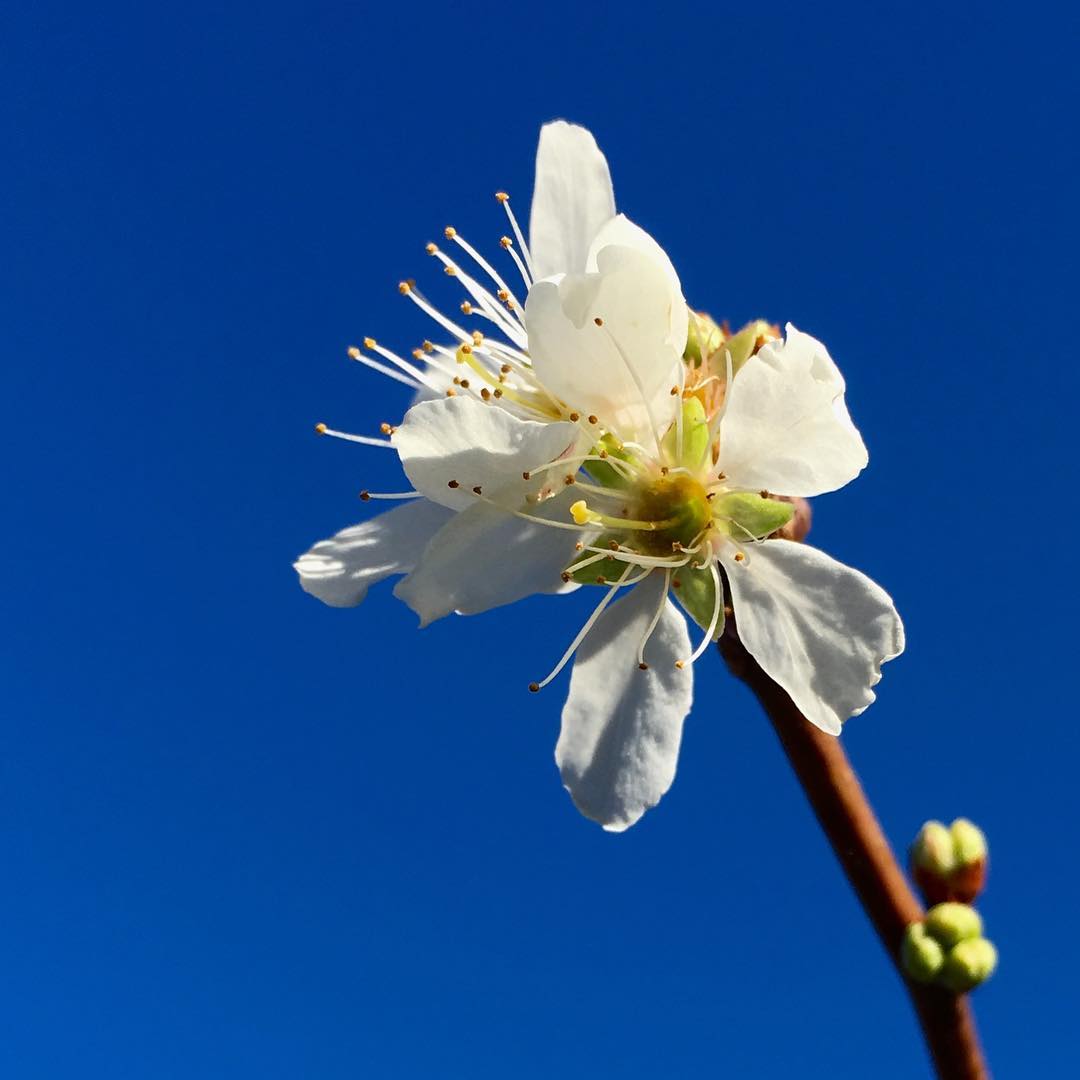 只等你爱我,等你爱你