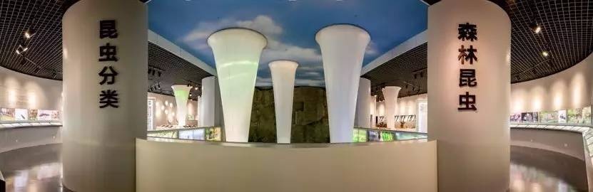 全国唯一的国家级大学博物馆,全国第一家高校博物馆