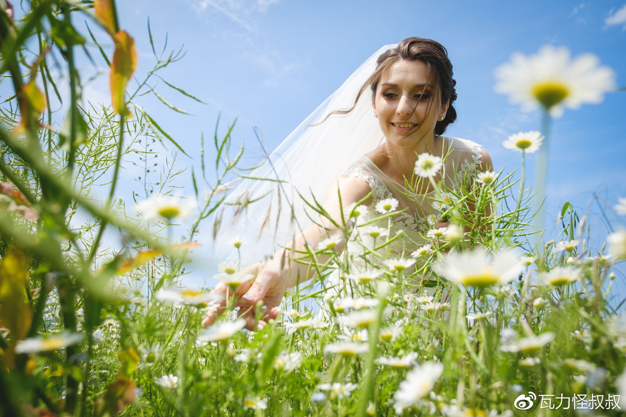 富士龙x镜头怎么选,富士龙x卡口镜头价格