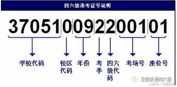 忘了高考准考证号能查询成绩吗,河南会考准考证号忘了怎么查成绩