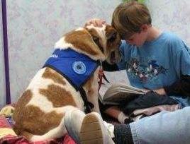 养猫后晚期癌症居然不治而愈!养宠物有这么神奇吗?