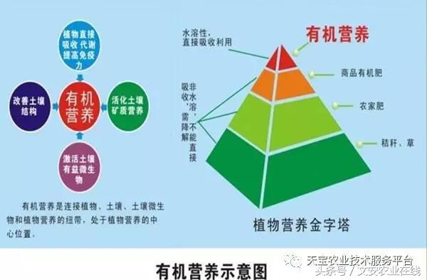 完整的土壤知识快收藏吧,土壤肥料基础知识