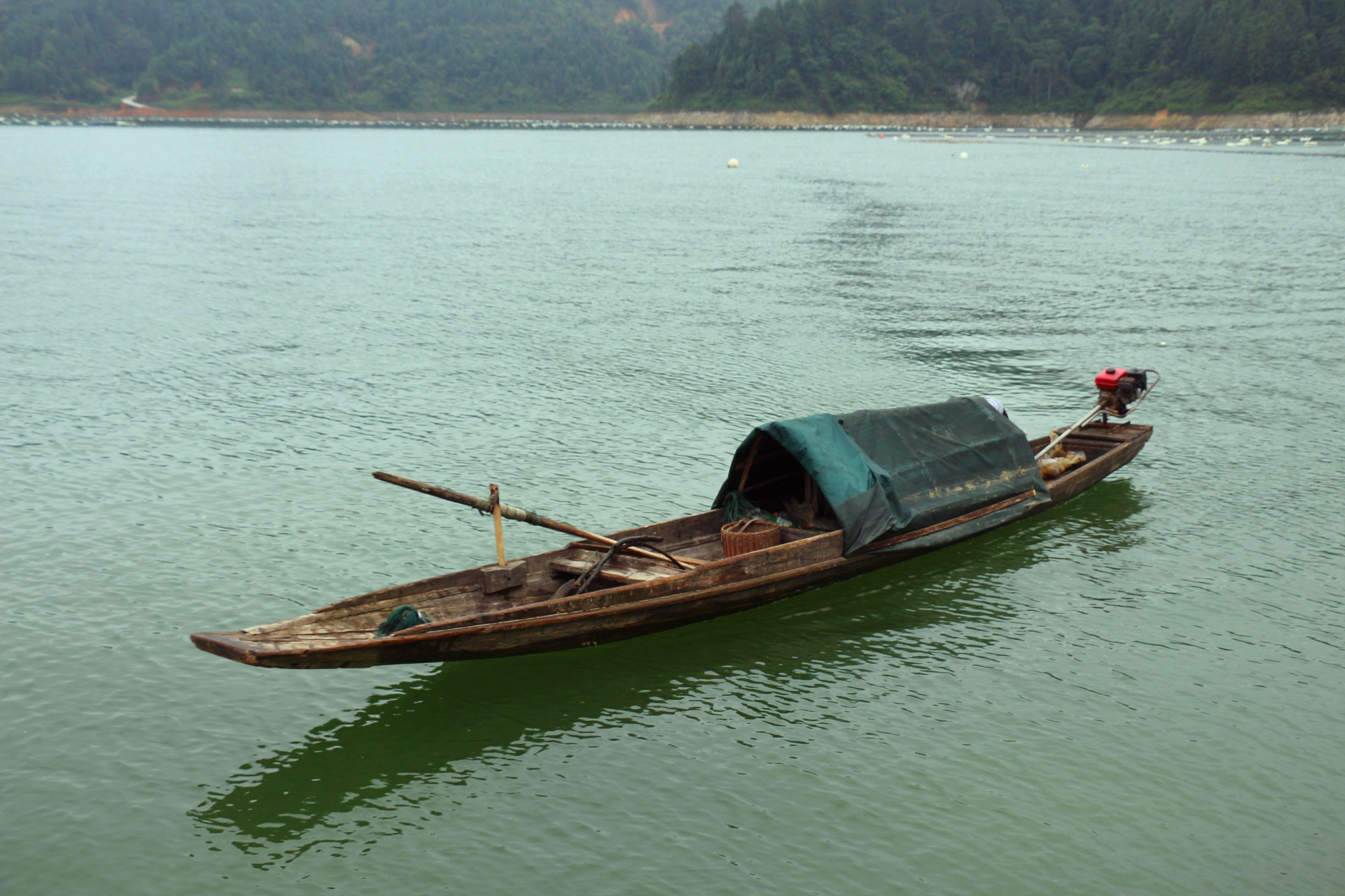 黔东南剑河县清水江鱼种大全,剑河县清水江有什么鱼