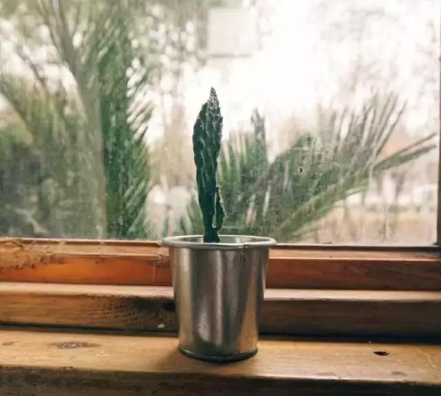 武汉美食街top10,武汉各类美食top1