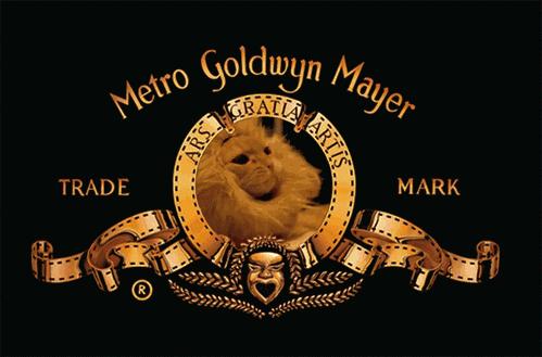 八月份的前奏狮子座,八月份的前奏完整版