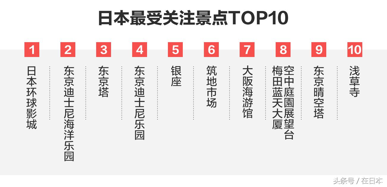 美团旅行住宿业务,美团旅行订单