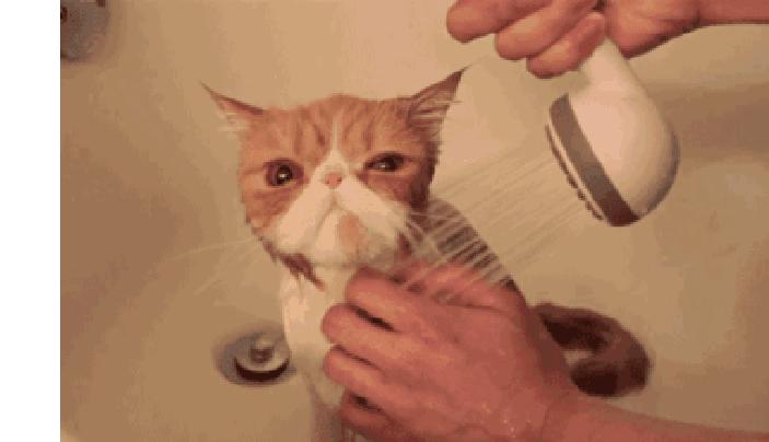 你们那管洗澡搓下来的泥叫什么?我们这叫“人渣”