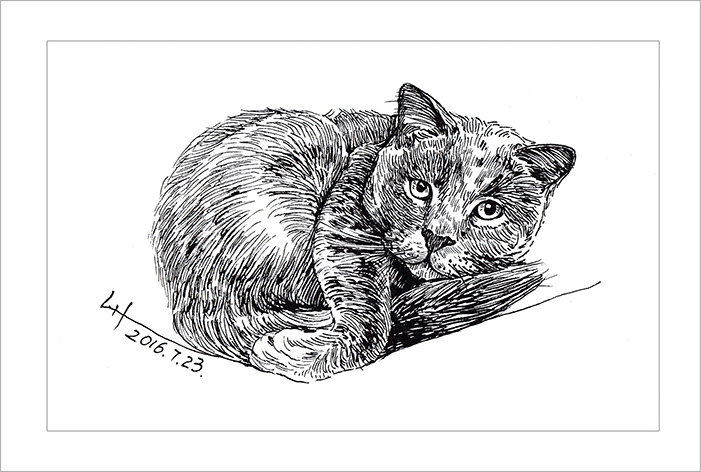 钢笔画动物昆虫,钢笔画家禽速写