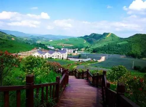 贵阳这个季节水果采摘线路，错过又要等一年