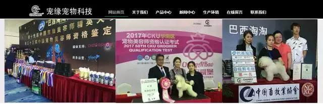 pfa颁奖现场,pfa奖项