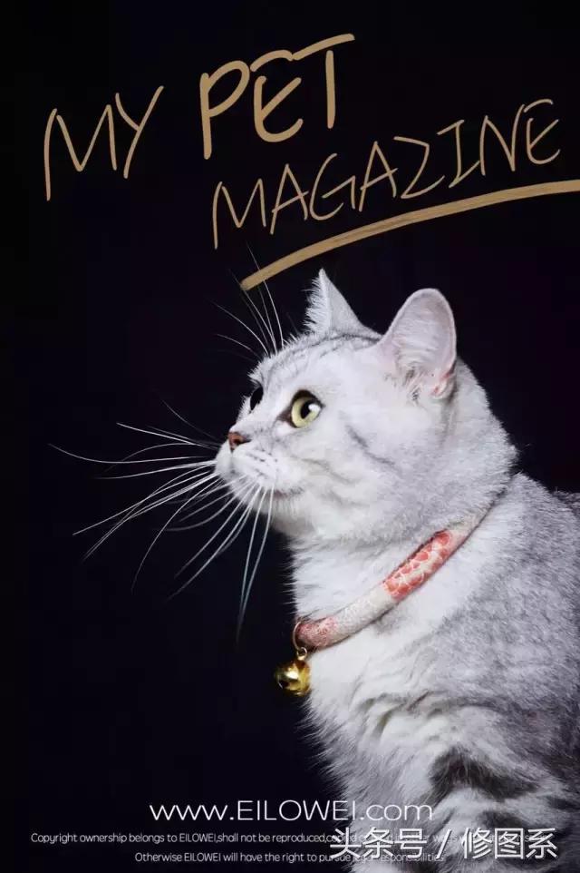 修图师会用哪些修图软件,修图师都用ps么