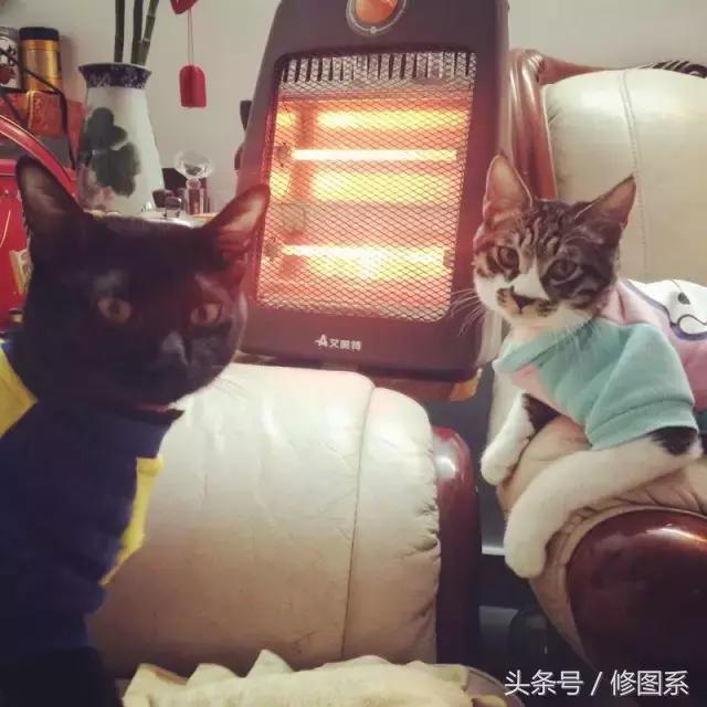 修图师会用哪些修图软件,修图师都用ps么