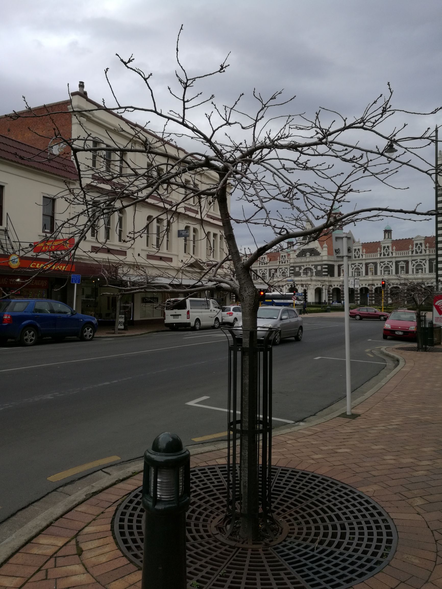 新西兰但尼丁城市介绍,新西兰哪个城市比较宜居