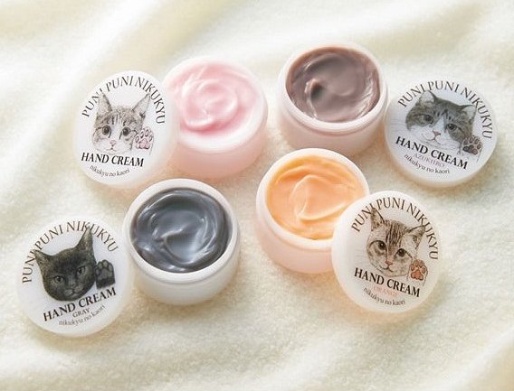 不要说我孤独，我还有猫