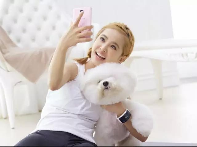 各种狗及身价，终于收全了