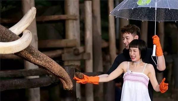 潘玮柏吴昕快乐大本营2019完整版,吴昕和潘玮柏谁更厉害