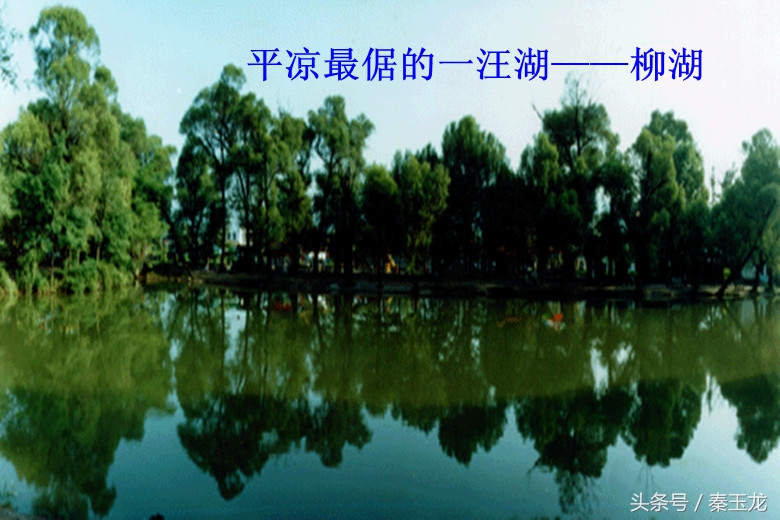 甘肃平凉人：不怕神不怕鬼，最怕烂面