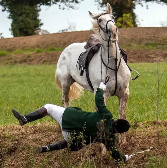 初学骑马的技巧视频,新手骑马的基本要领有哪些呢