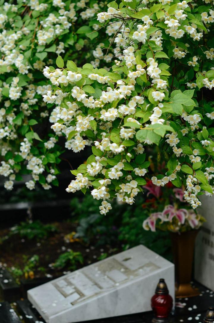 感受战斗民族的霸气,感受战斗民族的热情