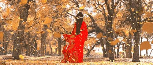 秋天天气干燥怎么护肤,瑟瑟秋雨降秋燥气温