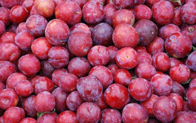 天大的骗局,天大谎言被拆穿