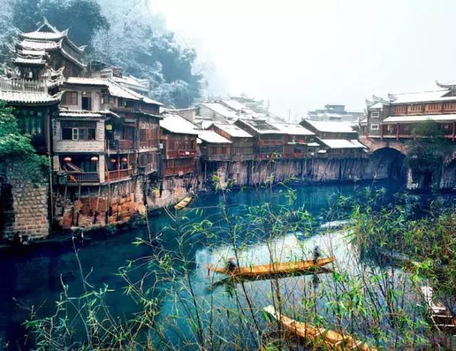 中国国花有什么样的品质,中国国花有什么品质