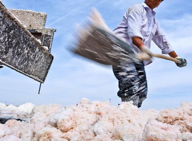 憨老头征文活动佳作选登：用一生还你一壶老酒