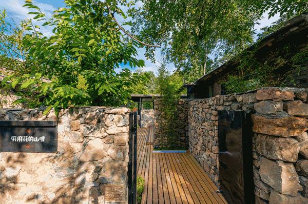 “麻麻，那是什么花？”“麻麻花呀！”