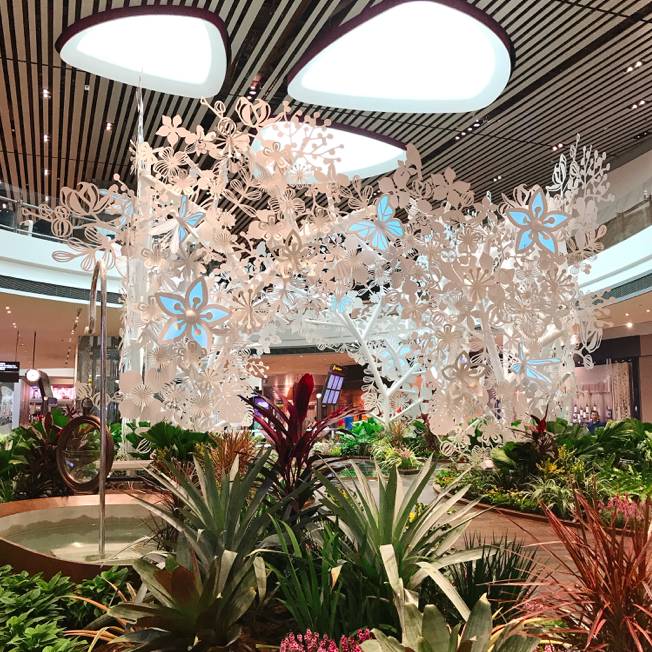 新加坡樟宜国际机场t4航站楼购物,新加坡樟宜机场4号航站楼