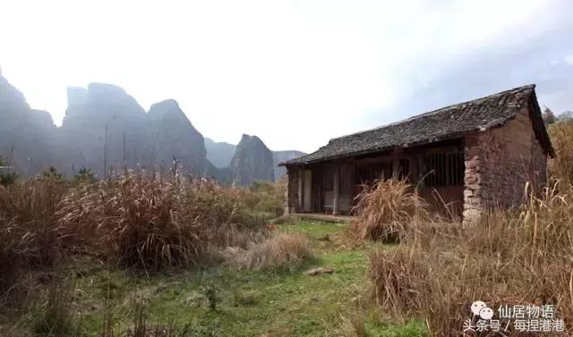 台州的公盂村,浙江省仙居县田市镇公盂村