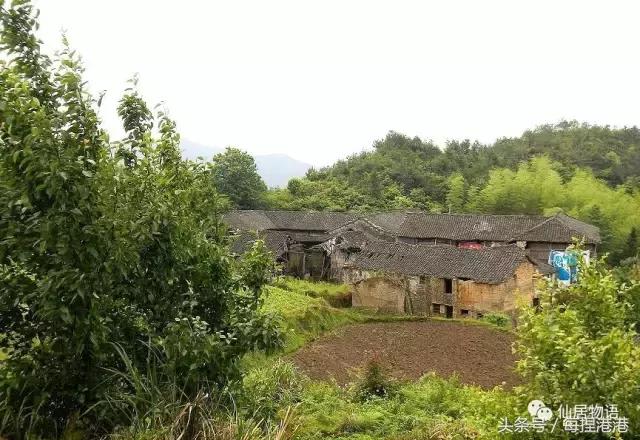 台州的公盂村,浙江省仙居县田市镇公盂村