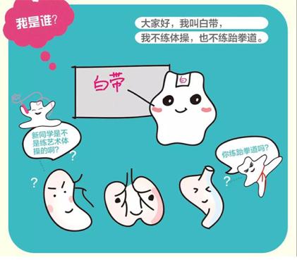 跆拳道从白带到黑带的蜕变,跆拳道从白带到黑带最快需要多久