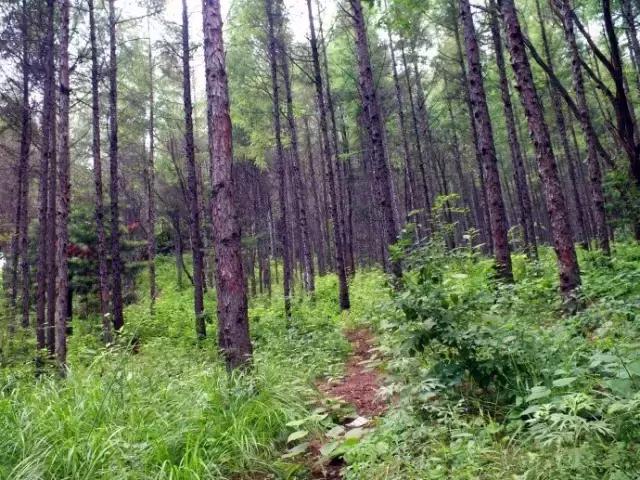 长春周边最美的8座山,长春周边值得爬的山