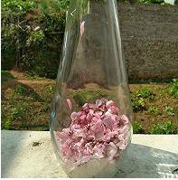 《三生三世十里桃花》四海八荒第一美酒“桃花醉”，在家也能做