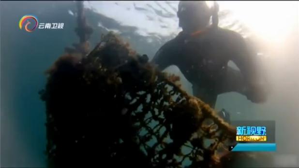 新视角淘宝分店,新视野新观察