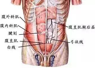 你虐腹姿势这么撩，另一半怎么受得了！