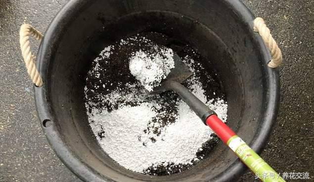 花土通用营养土怎么使用,花盆中的营养土是如何配制的