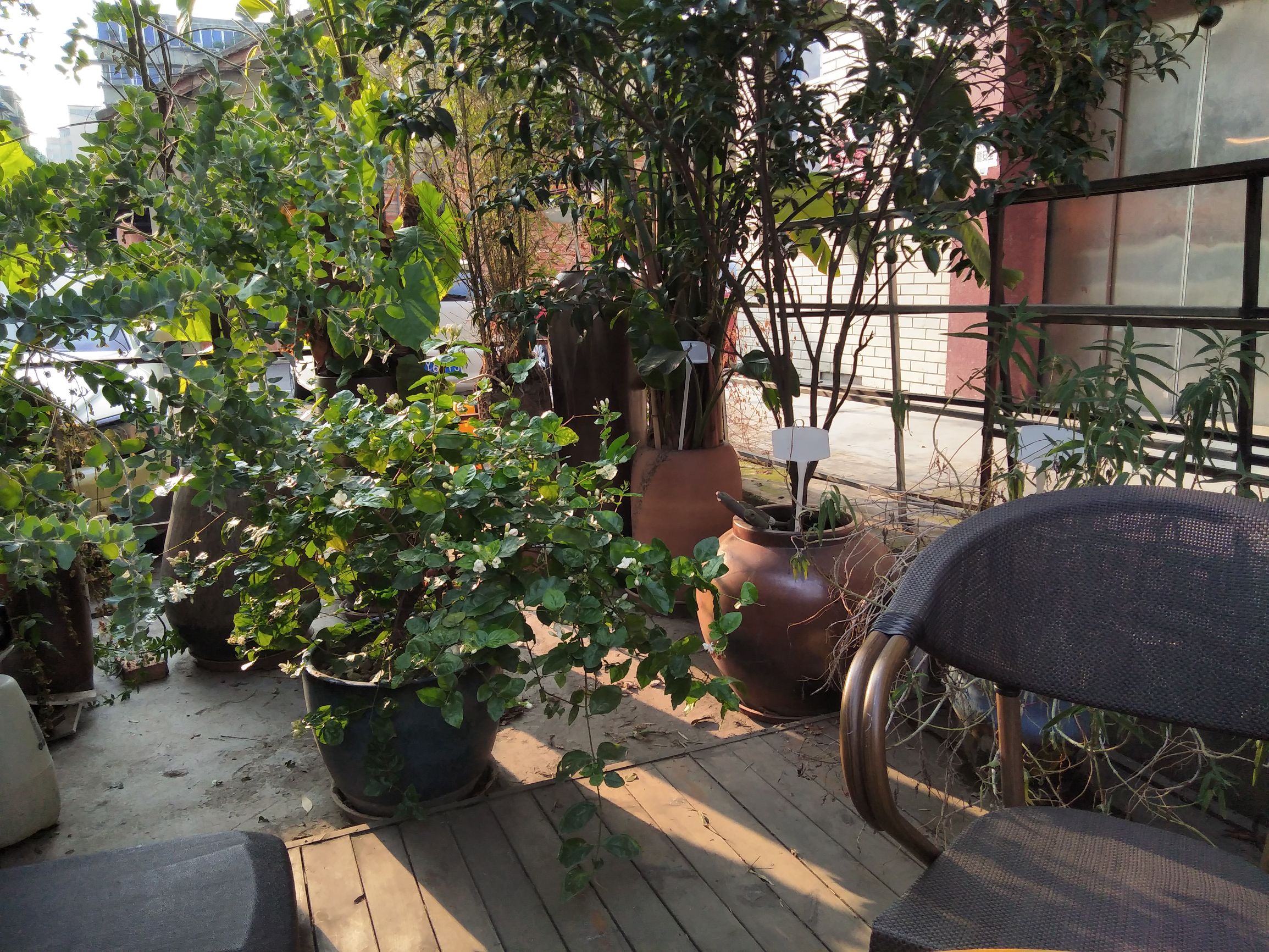 A77综合评测:美貌与性能完美结合的均衡之作