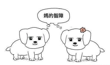 2017年十大流行语,2017年度十大网络流行语出炉