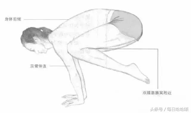 能撑住二十秒,小腹又平又紧实