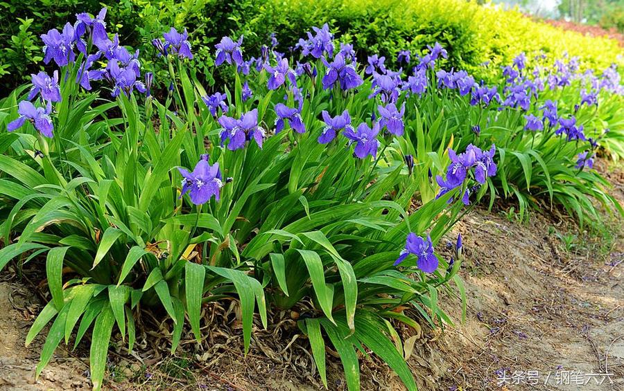 把钢笔改造成复古钢笔,钢笔是怎么设计出来的