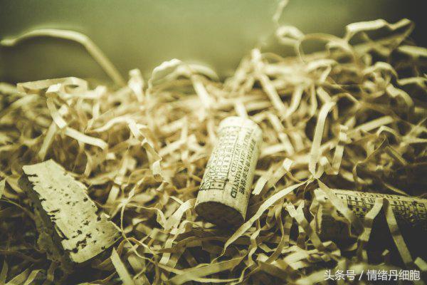 张裕瑞那城堡酒庄拍照技巧,张裕爱斐堡红酒庄园