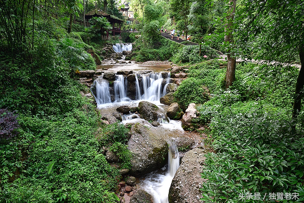 涓轰粈涔堝窛濡瑰瓙鍚冭荆鐨勫悆涓嶈儢,涓轰粈涔堝窛濡瑰瓙鍚冮偅涔堟补鑵婚兘涓嶈儢